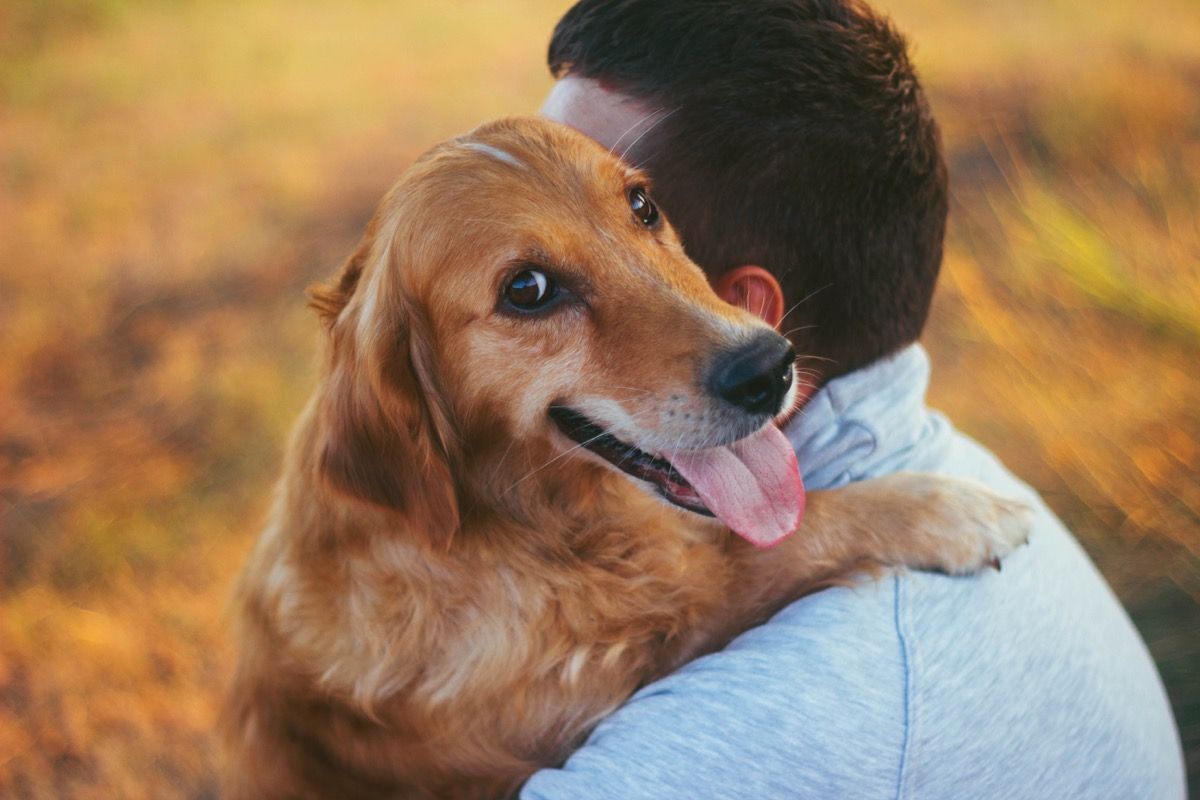 facet i jego pies, golden retriever, natura, przytulanie, jesień, wiosna, lato