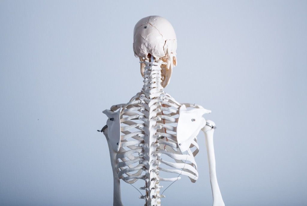 35 skeletų anekdotai, kurie kutens jūsų juokingą kaulą
