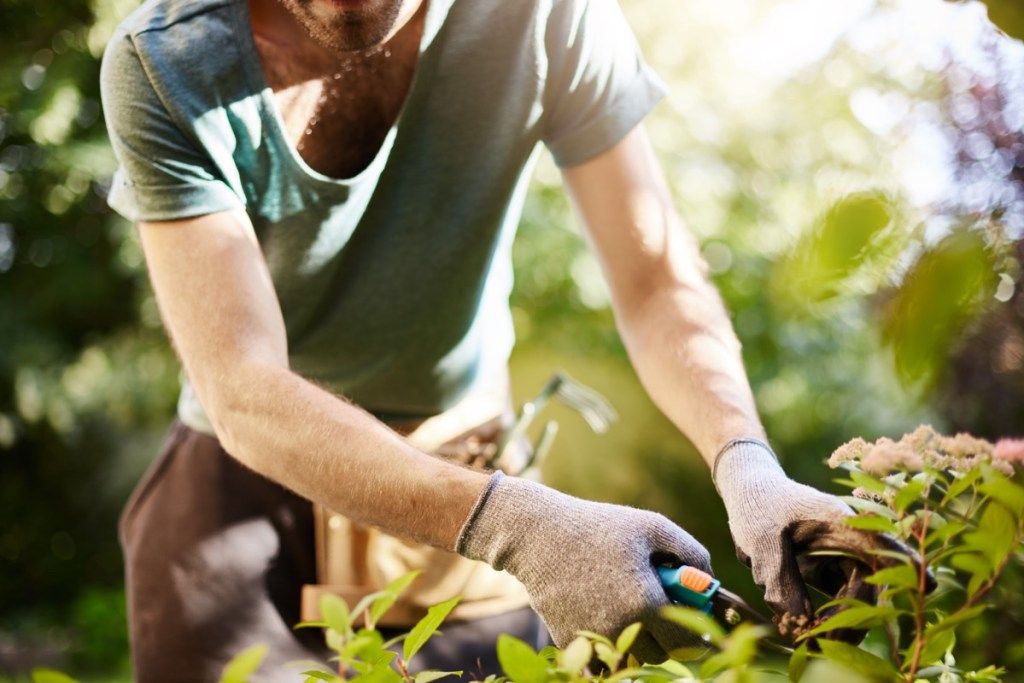 आदमी एक बगीचे में पौधों को रौंद कर धरती की मदद करता है