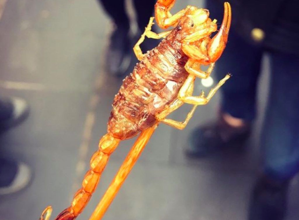 Arizona Fair skorpion