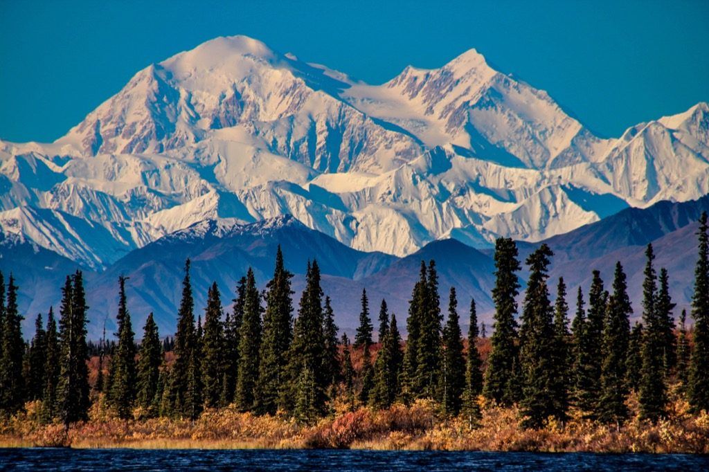 Taman Nasional Denali Alaska