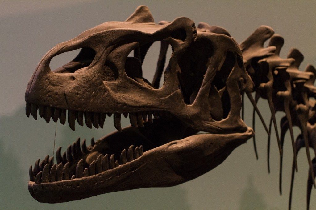 25 smešnih dinozavrov z besedami Vsak šala-saurus bo všeč
