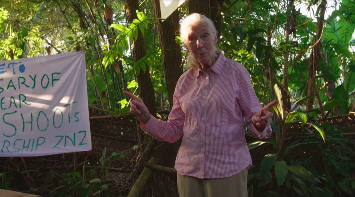 Jane Goodall en Jane Goodall: La esperanza