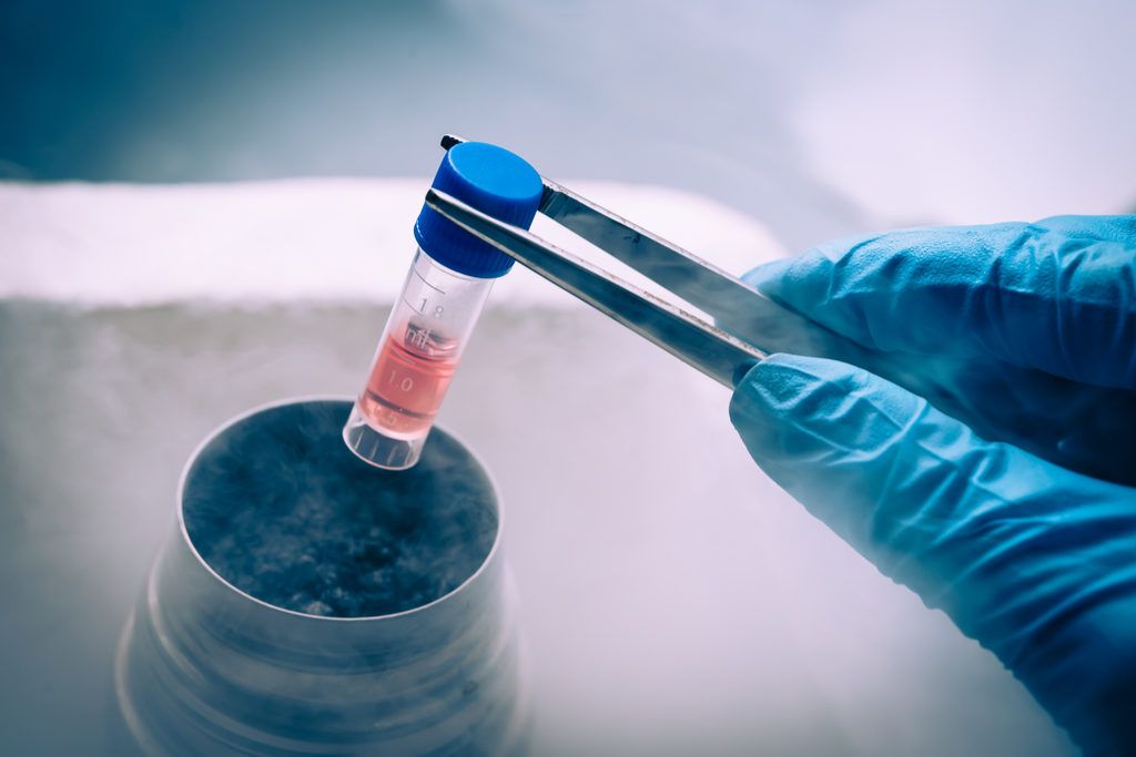 Descubrimientos científicos de células madre