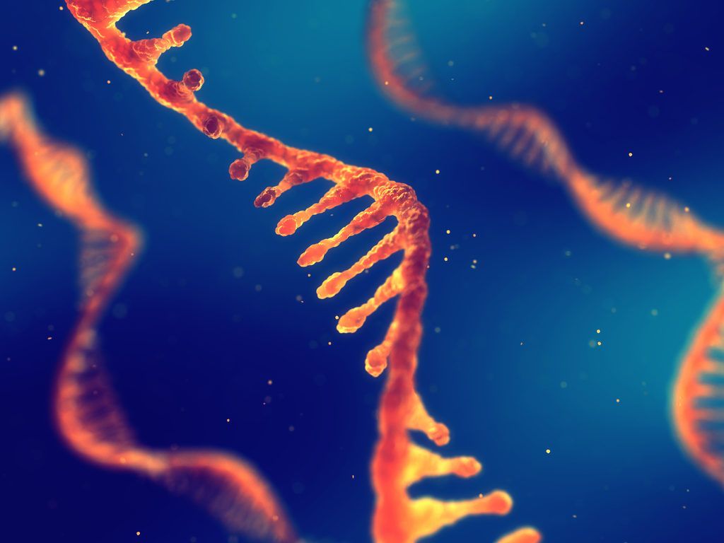 תגליות מדעיות של RNA סטרנד