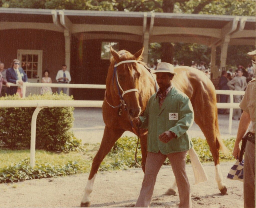 Ngựa thư ký tại Belmont Stakes