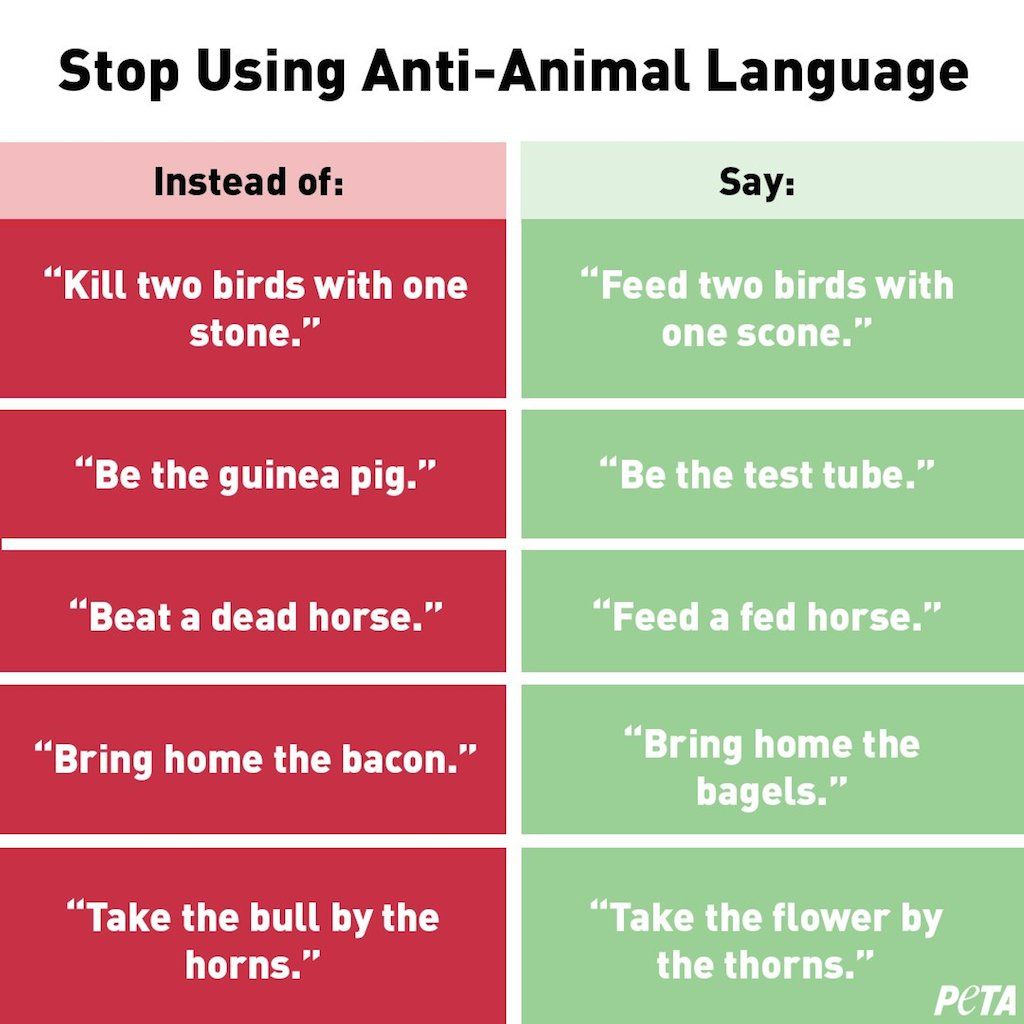 PETA פרסמה רשימה זו של שפה 'ידידותית לבעלי חיים' והאינטרנט לא יכול להפסיק לצחוק