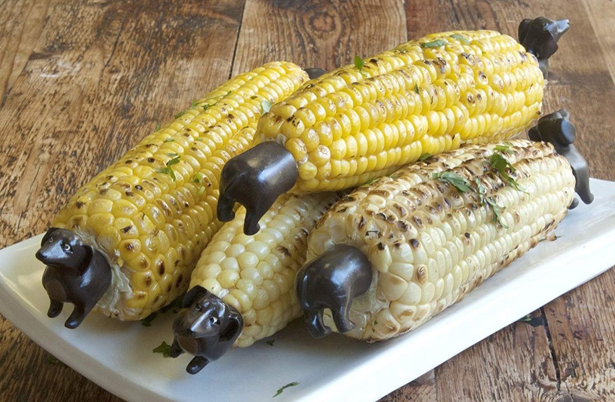 dachshund corn कोब शरारत उपहार
