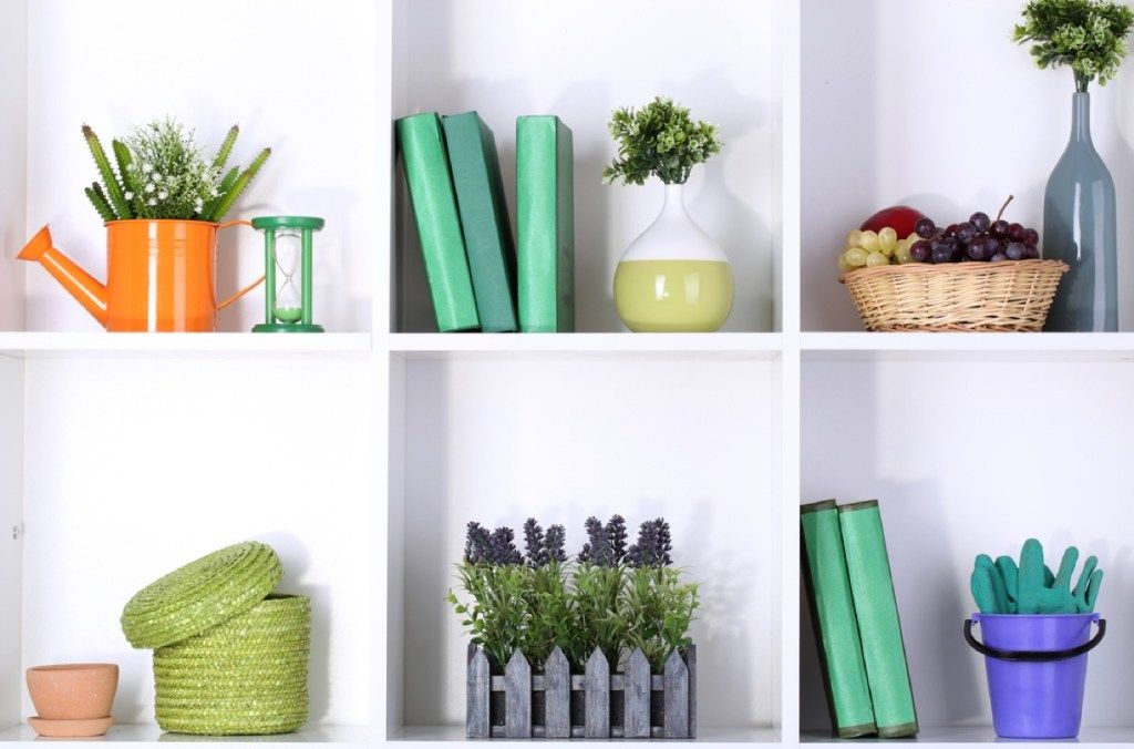 atviros lentynos su žaliomis knygomis ir augalais, Joanna gauna patarimų