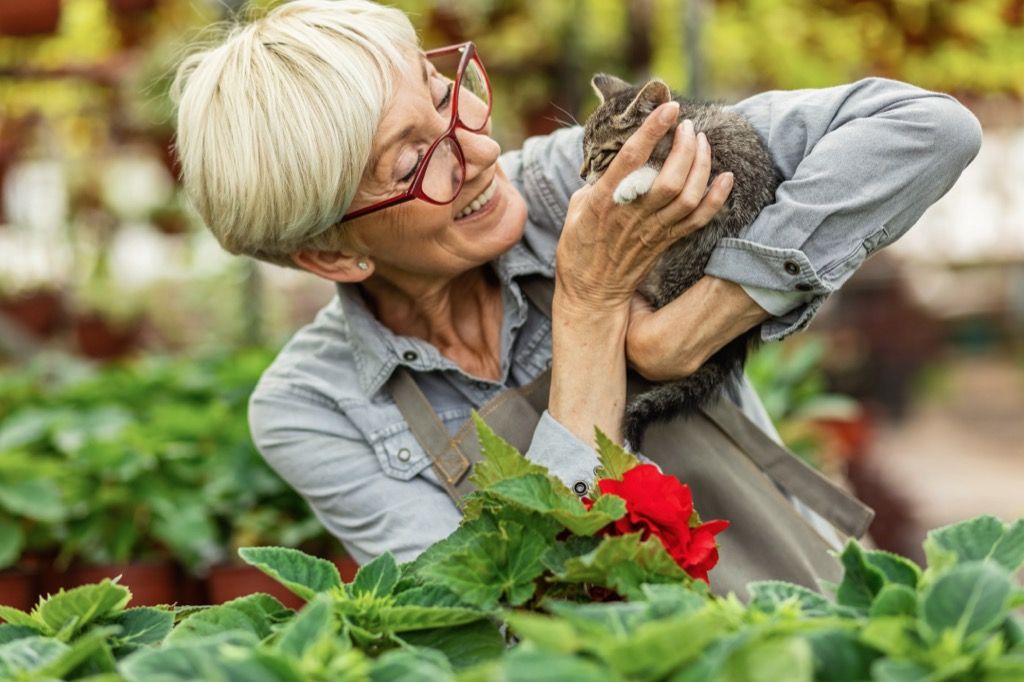 onnellinen kypsä nainen halaa pienen kissanpennun työskennellessään kukkakasvien taimitarhassa.