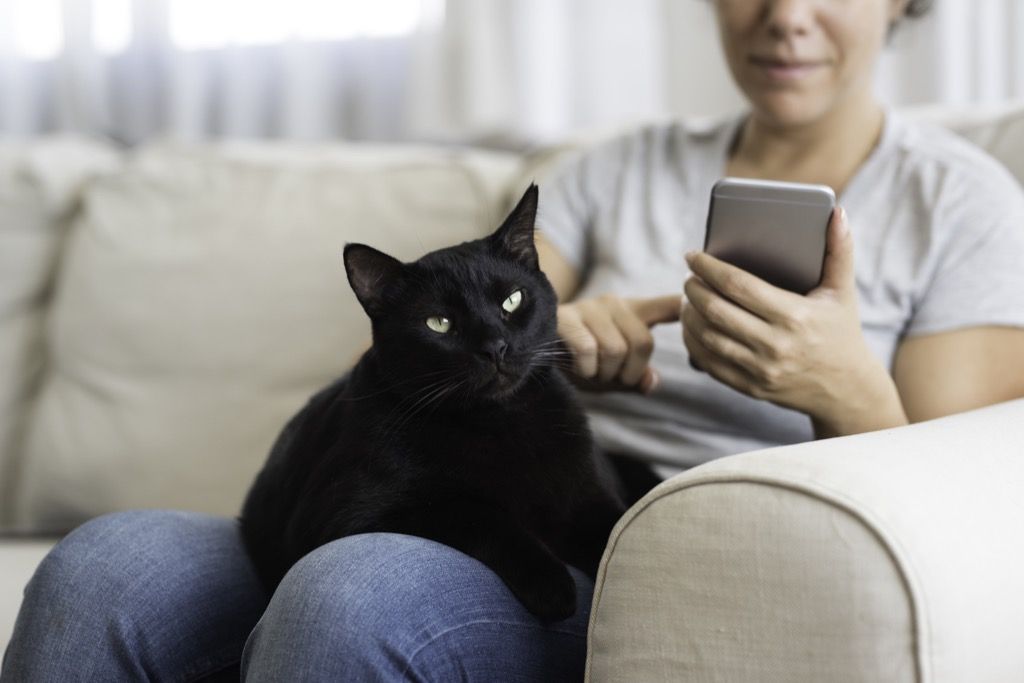nuori nainen istuu sohvalla mustan kissansa kanssa ja käyttää älypuhelinta.