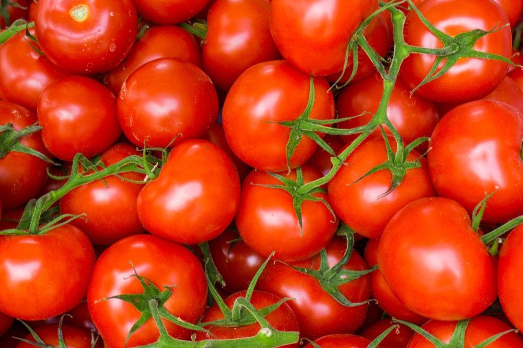 Tomater, skandaløse, fantastiske fakta