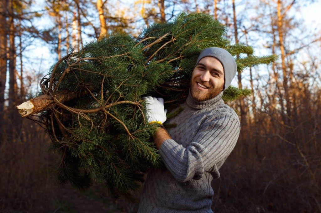 mladić koji nosi božićno drvce