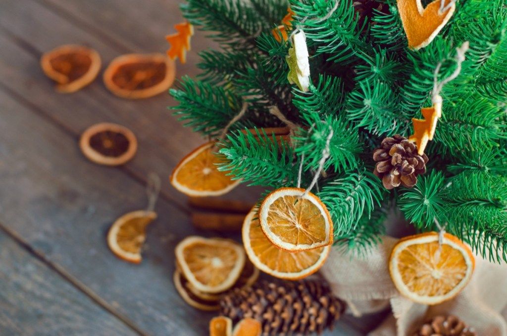 شرائح البرتقال المجففة على شجرة عيد الميلاد