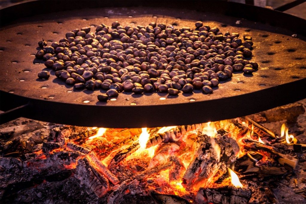 chestnut panggang di atas api