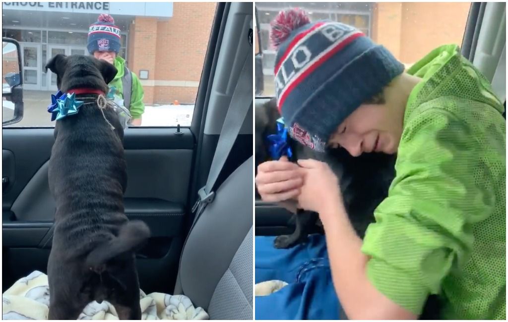 Poika yhdistää kadonneen koiransa sydäntä lämmittävässä videovideossa