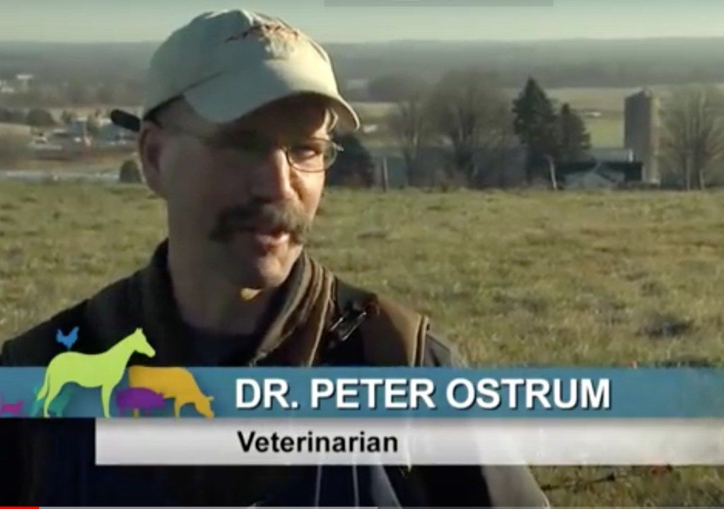 Selebriti Peter Ostrum dengan pekerjaan biasa