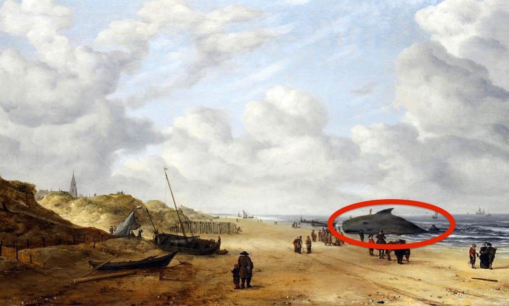 Hendricko van Anthonisseno (1605–1656) olandų jūrų dailininko paveikslas „EC825B“, pavadintas „Scheveningen Sands“ vaizdas. Data XVII a. Vaizdas nufotografuotas 1754. Tiksli data nežinoma.