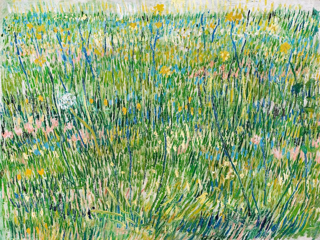 ED8T9W Vincent van Gogh, Patch of Grass 1887 Öljy kankaalle. Kroller-Muller-museo, Otterlo, Alankomaat.