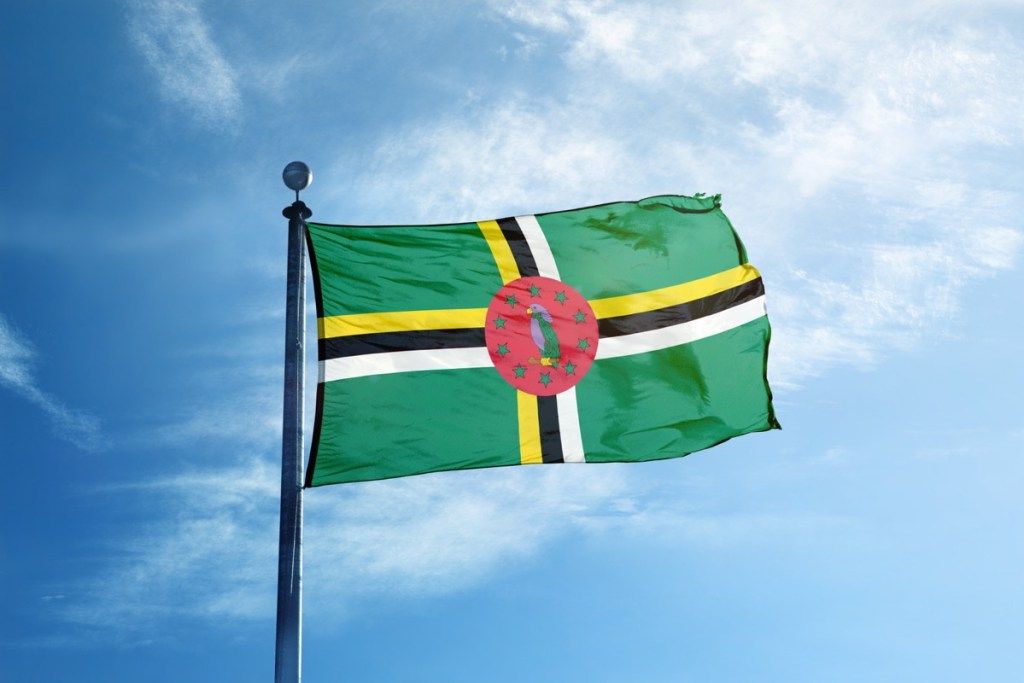 ڈومینکا پرچم ، حیرت انگیز حقائق