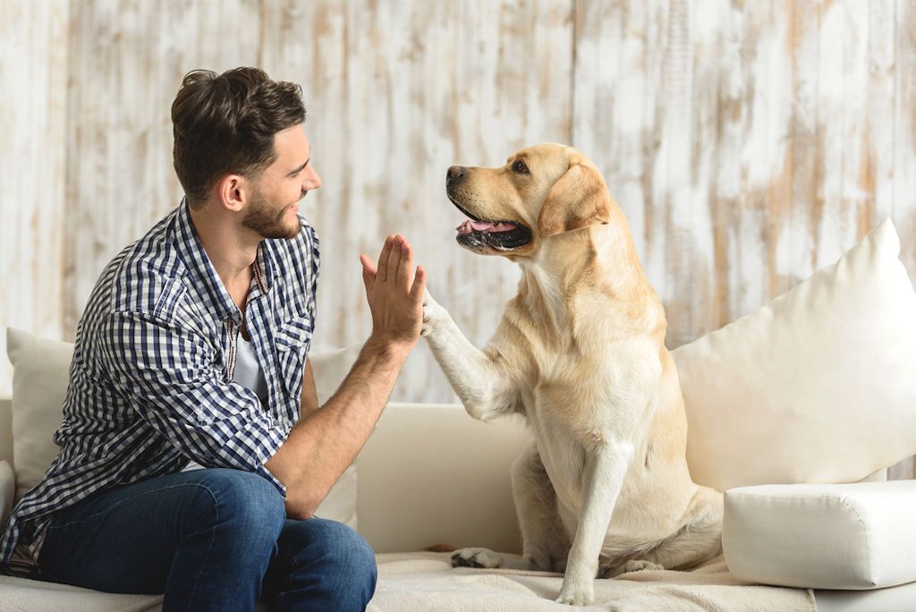 studija otkriva da su neki ljudi biološki više predisponirani na pse