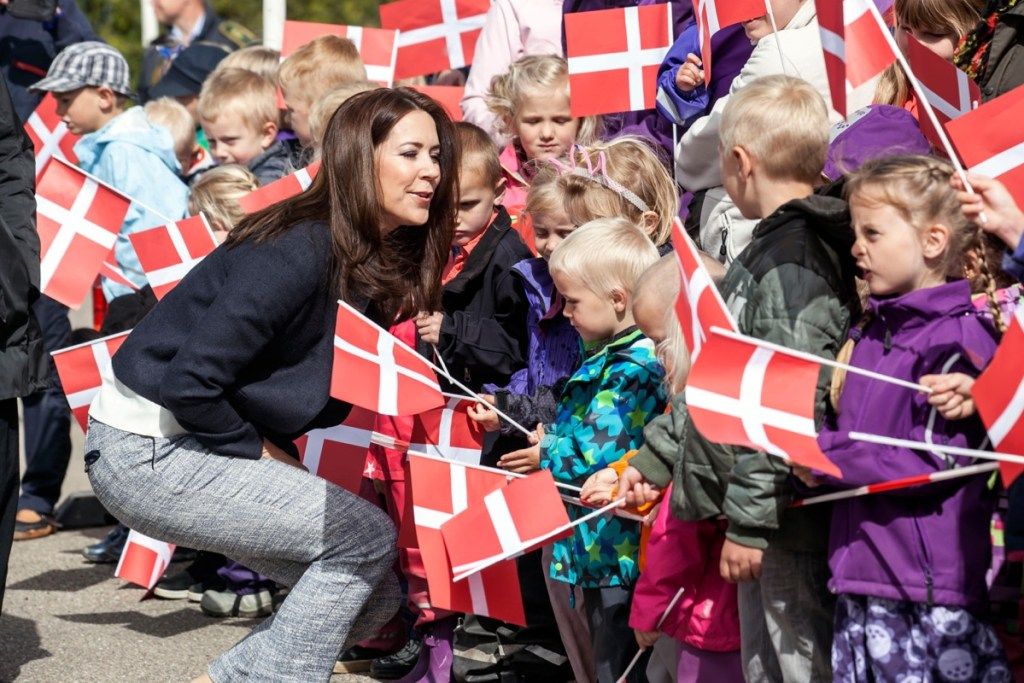 डेनमार्क का झंडा