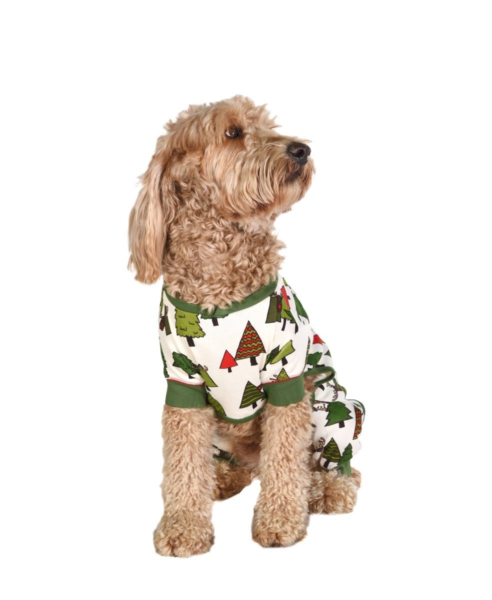 Pes na Vianoce oblečený v pyžame