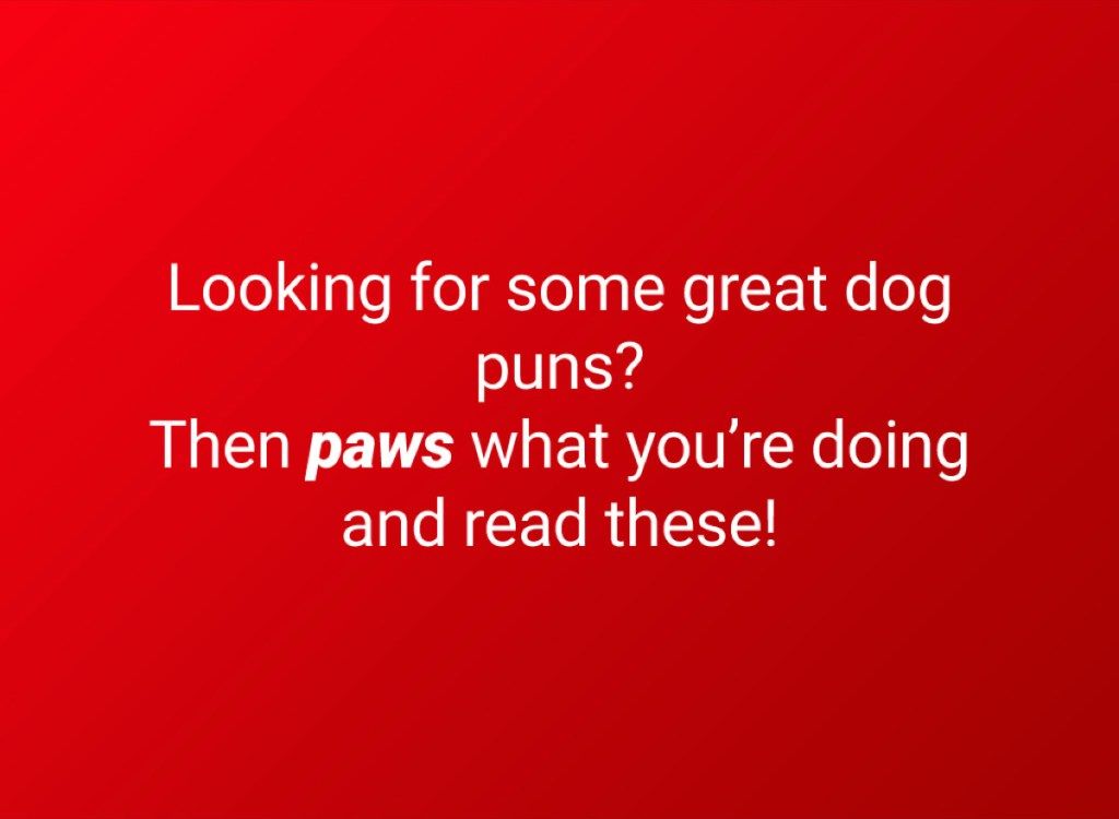 40 juegos de palabras para perros que te harán reír a carcajadas