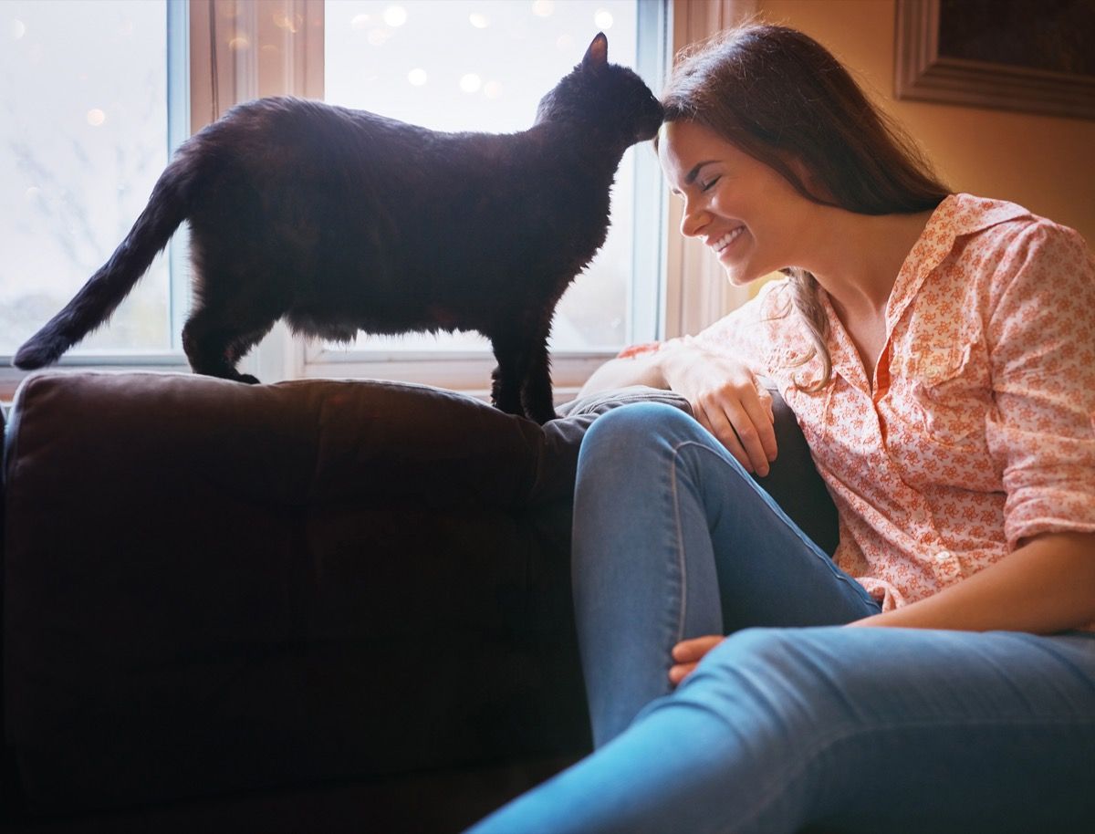 kadras, kai patraukli jauna moteris atsipalaiduoja namuose ant sofos ir susiriša su savo kate