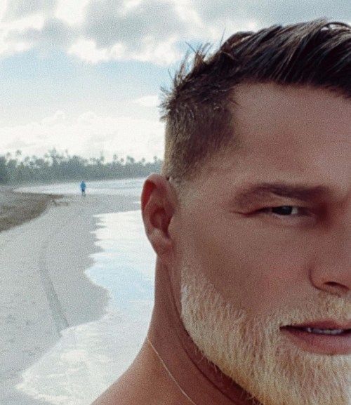 Ricky Martin pleegitas habeme