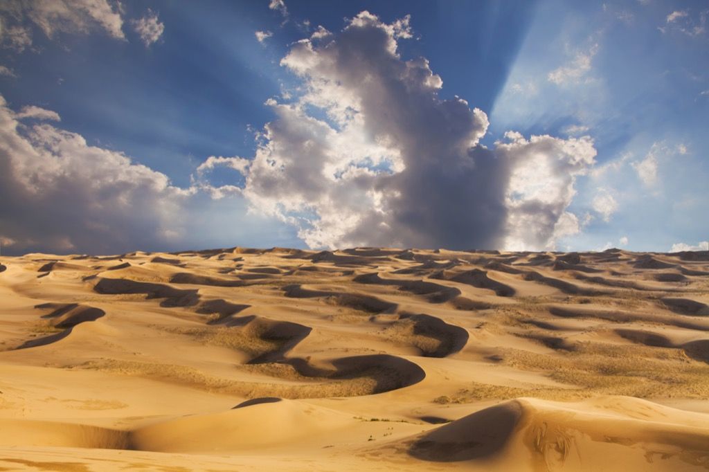 puščava sahara