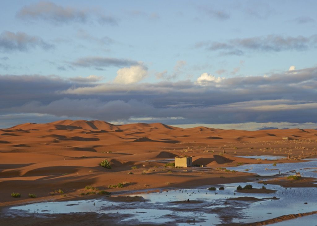 agua en el desierto del sahara