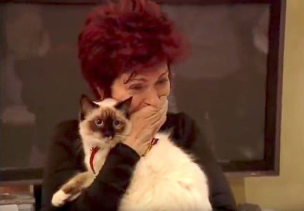 Ozzy Osbourne Stray Cat เรียลลิตี้โชว์