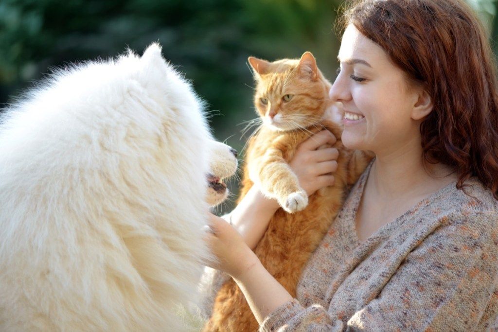 Nainen, joka pitää kissaa ja hengailee pörröisen koiransa kanssa