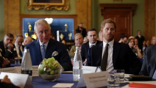 پرنس ہیری پر کنگ چارلس سے ملنے کے لئے 'PR' سفر کا الزام - کیوں ان کا دورہ اتنا مختصر تھا