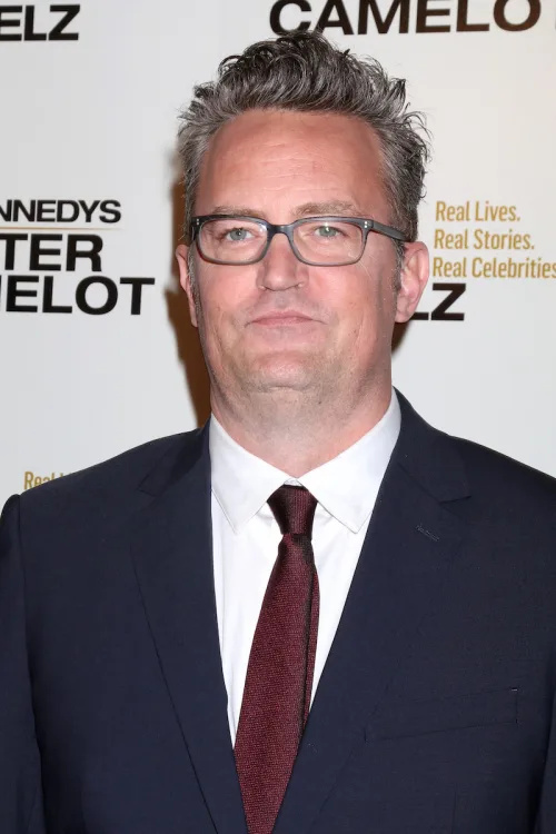   Matthew Perry w"The Kennedys: After Camelot" premiere in 2017