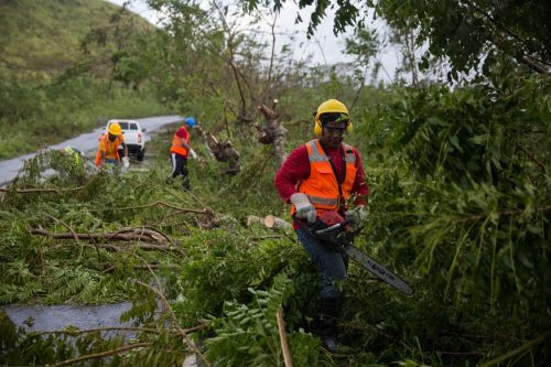   Pekerja membersihkan pekerjaan memindahkan pohon tumbang dari jalan raya yang menghubungkan Miches dengan El Seibo di timur laut Republik Dominika