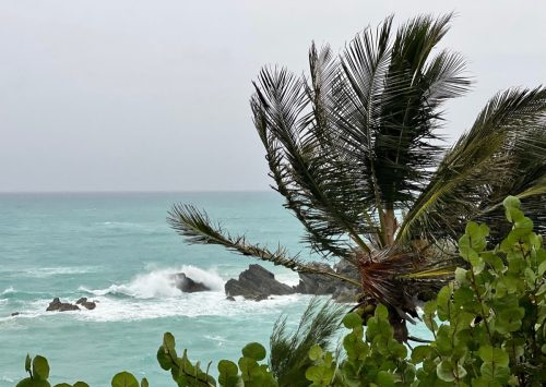   Isang puno ng palma ang nakatayo sa hangin sa Church Bay, Bermuda, habang humahampas ang Hurricane Fiona patungo sa Atlantic