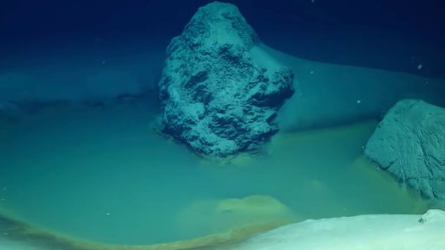 นักวิทยาศาสตร์ค้นพบ 'สระมรณะ' ในชีวิตจริงที่ก้นทะเล มันฆ่าทุกอย่างที่แหวกว่ายเข้าไป