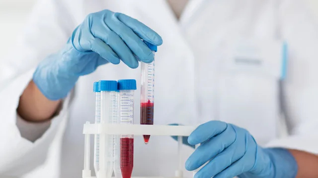 Laboratoriedyrket blod har blitt satt inn i mennesker i en første klinisk prøve