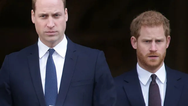 Prints Williami personal 'Istutatud lood' prints Harry vaimse tervise kohta, väidab kuninglik autor. 'Pole juhus.'