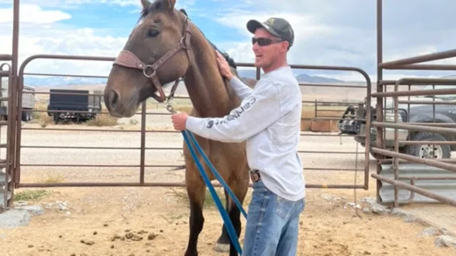Mongo, Utah Horse, tapasi omistajansa vuosien villien mustangien kanssa juoksemisen jälkeen: 'Se ei edes tuntunut todelliselta.'