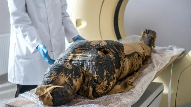 Científicos reconstruyeron el rostro de una momia egipcia embarazada de 2000 años