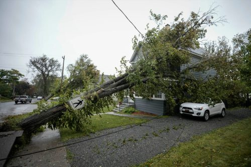   Một cái cây nằm dựa vào đường dây điện và một ngôi nhà sau khi hậu bão nhiệt đới Fiona tấn công vào ngày 24 tháng 9 năm 2022 ở Sydney, Nova Scotia trên đảo Cape Breton ở Canada