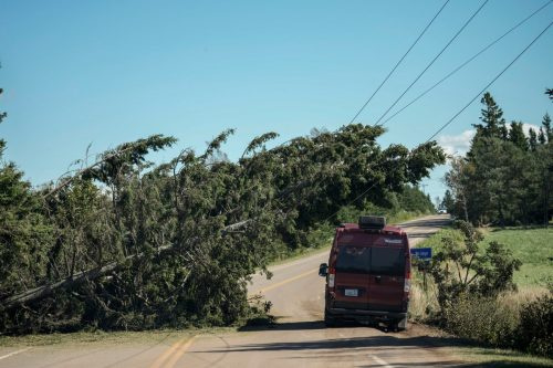   Praėjus dienai po posttropinės audros Fiona, transporto priemonė važinėja aplink nuvirtusius medžius, besidriekiančius į elektros linijas