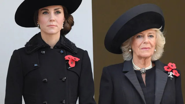 Todellinen syy kuningatar Camillan väitettiin olevan prinssi Williamin eron takana Kate Middletonin kanssa, väittää kuninkaallinen asiantuntija
