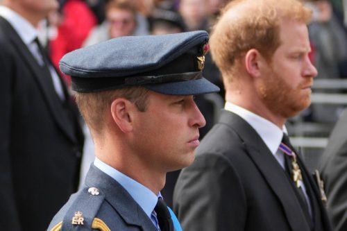   Prins William og prins Harry følger kisten til dronning Elizabeth II mens den blir trukket på en våpenvogn gjennom Londons gater etter hennes begravelse i Westminster Abbey i London sentrum mandag