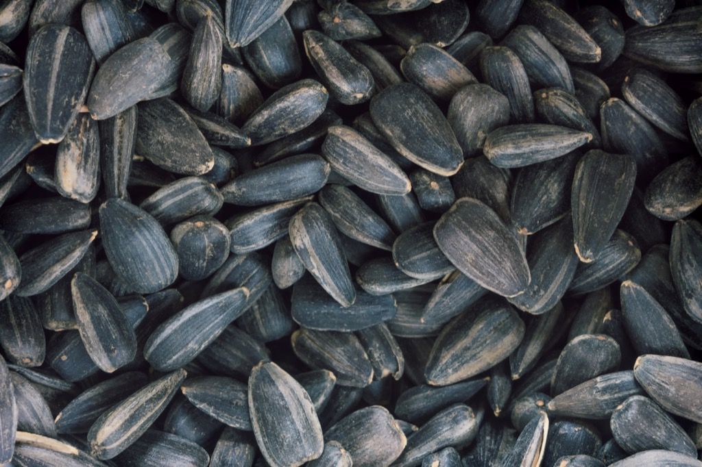 semillas de girasol, los mejores alimentos para el cerebro