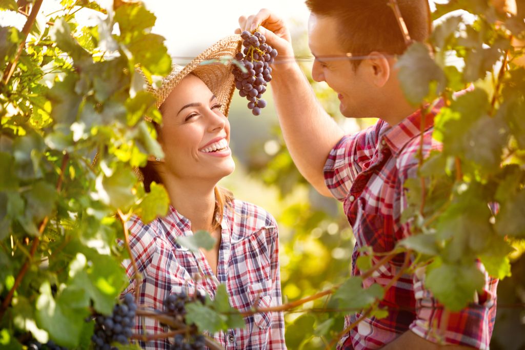 Couple mangeant des raisins Concord Anti-âge