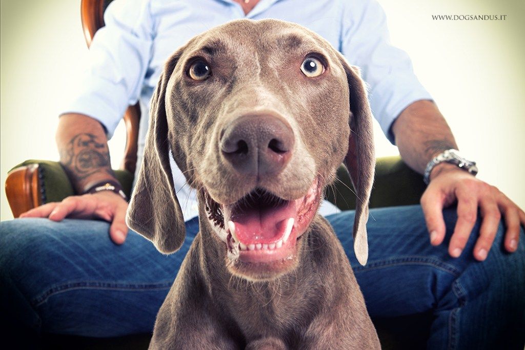 Uomo con Pet Dog Anti-Aging